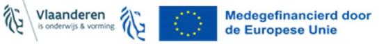 Logo's Europees Sociaal Fonds, Europese Unie en Vlaamse overeheid - Werk